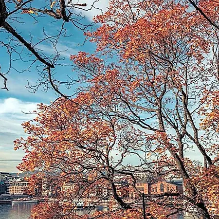 Go Nordic Cruiseline - Minicruise - Oslo -  *